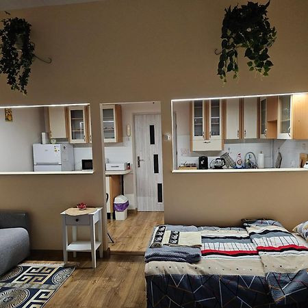 Apartament Apartament Old City Przemyśl Zewnętrze zdjęcie